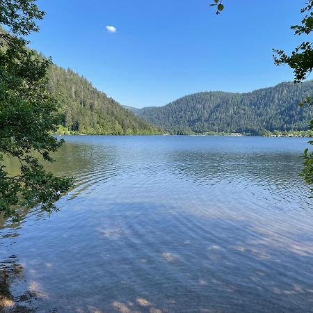 Le Chalet Blanc De Gerardmer Avec Spa Экстерьер фото