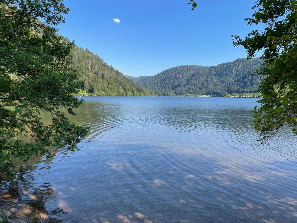 Le Chalet Blanc De Gerardmer Avec Spa Экстерьер фото